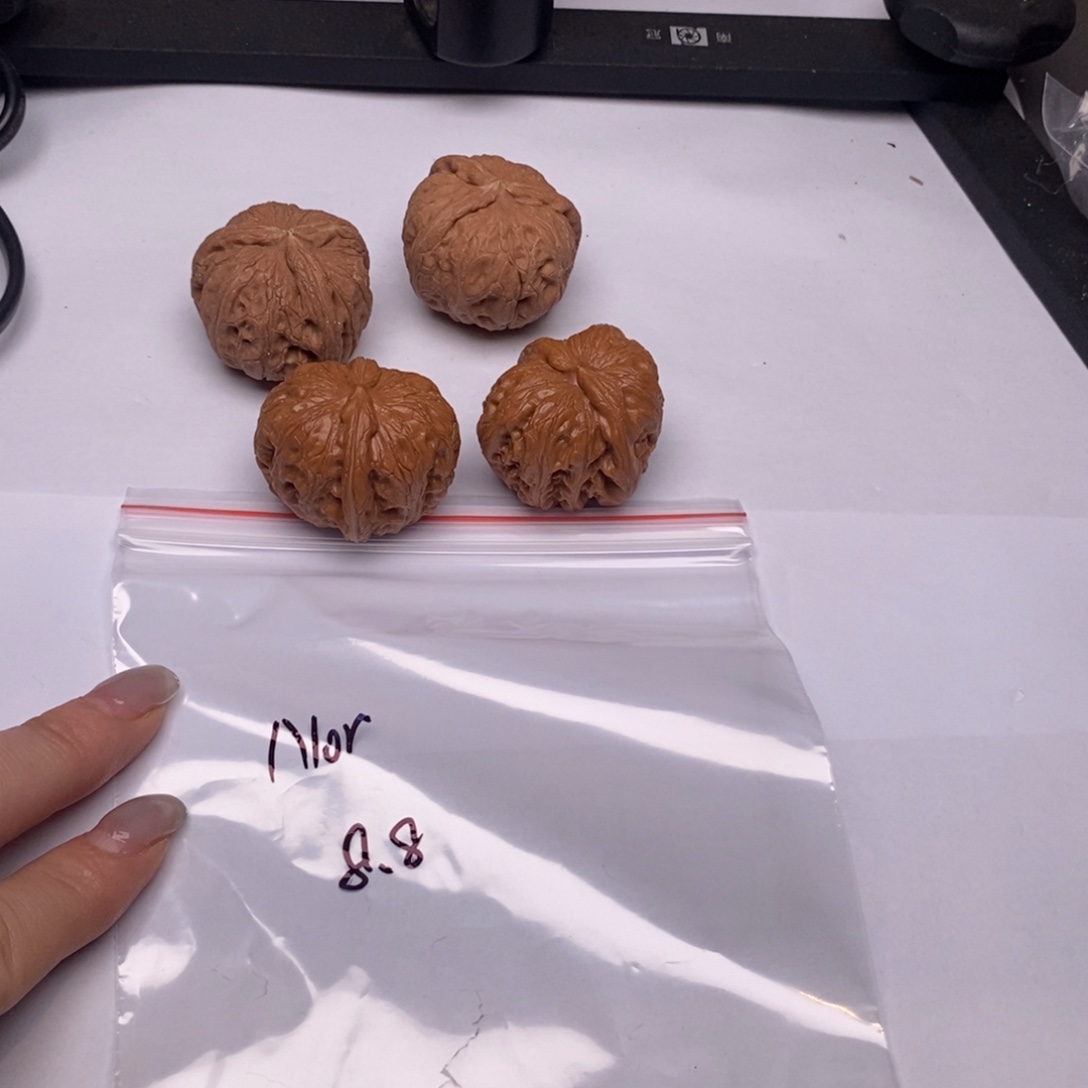 N***Z文玩核桃吊坠福利8.8