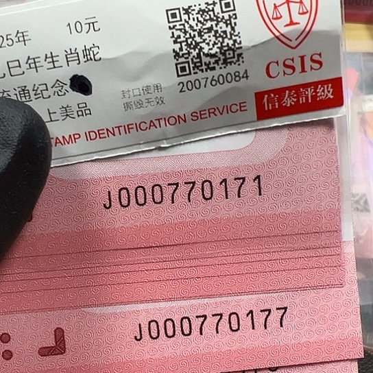 J000770171标十简易封装蛇