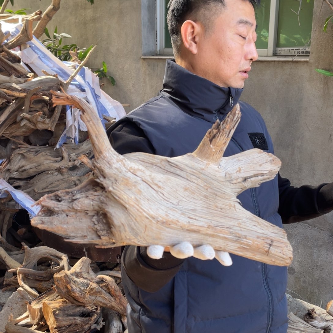 柏木（崖柏）太行崖柏88888888888