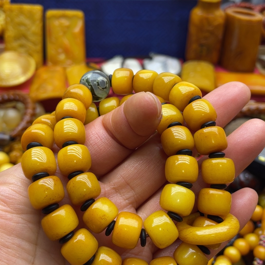 〰️****精品课程建设项目