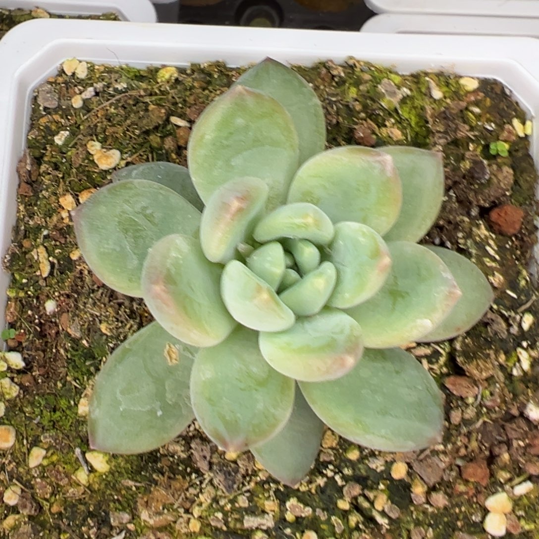 臣***下111111111111111111111111111