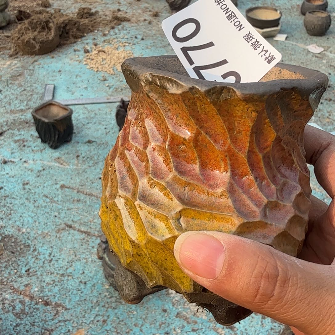 重庆小燕子欢迎大家770