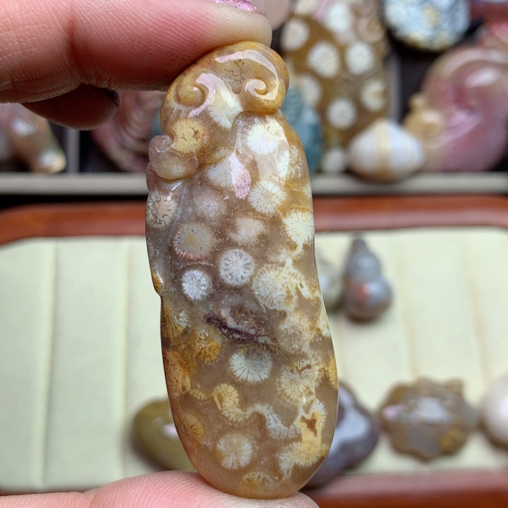 硅化珊瑚（珊瑚玉）颈饰未镶嵌