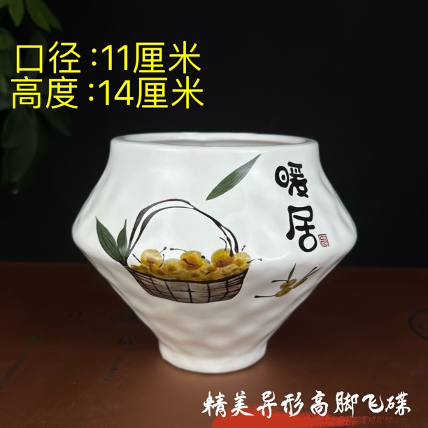 陶瓷花盆绿植多肉兰花造景盆桌面简约轻奢透气新款家用蝴蝶兰花盆