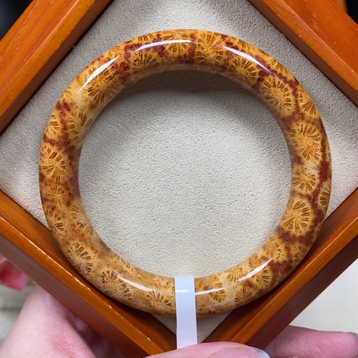 硅化珊瑚（珊瑚玉）手镯未镶嵌54.4