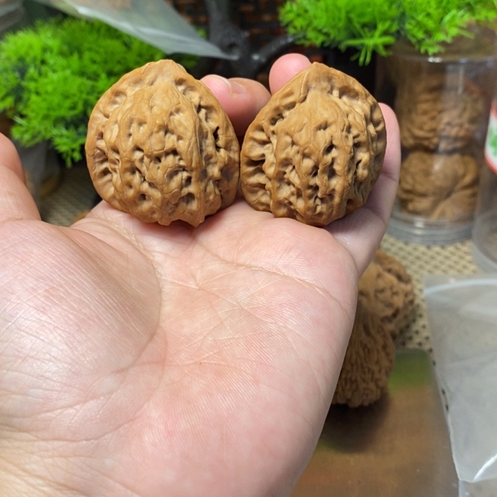 核桃手串/手链蓟县佛肚38