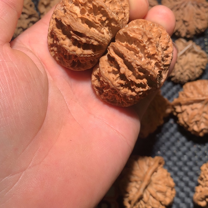 文玩核桃把件⑨**⑦秦岭野生文玩核桃