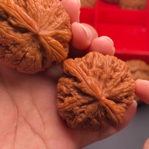 文玩核桃把件秦岭山脉核桃
