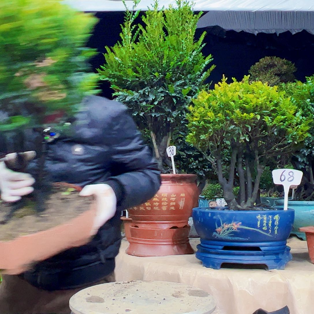 以实际为准流**水