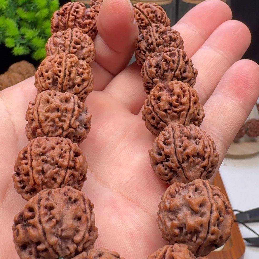 手串金刚菩提蜂窝双龙