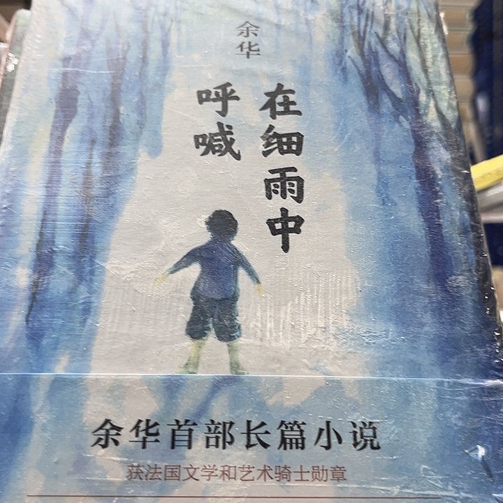 在细雨中呼喊全新推荐