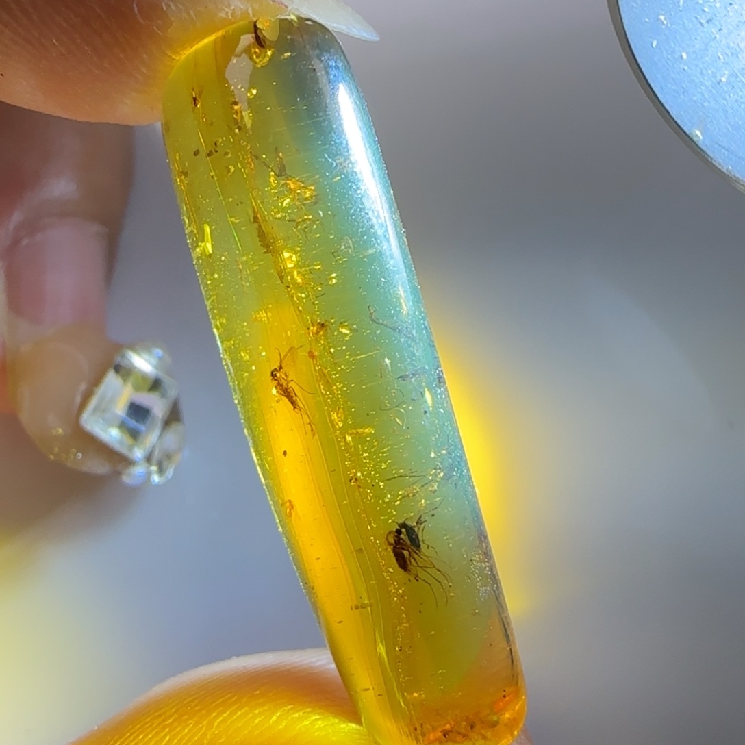 琥珀裸石未镶嵌蚊子