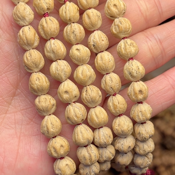 柏香籽/百香籽吊坠一****晨