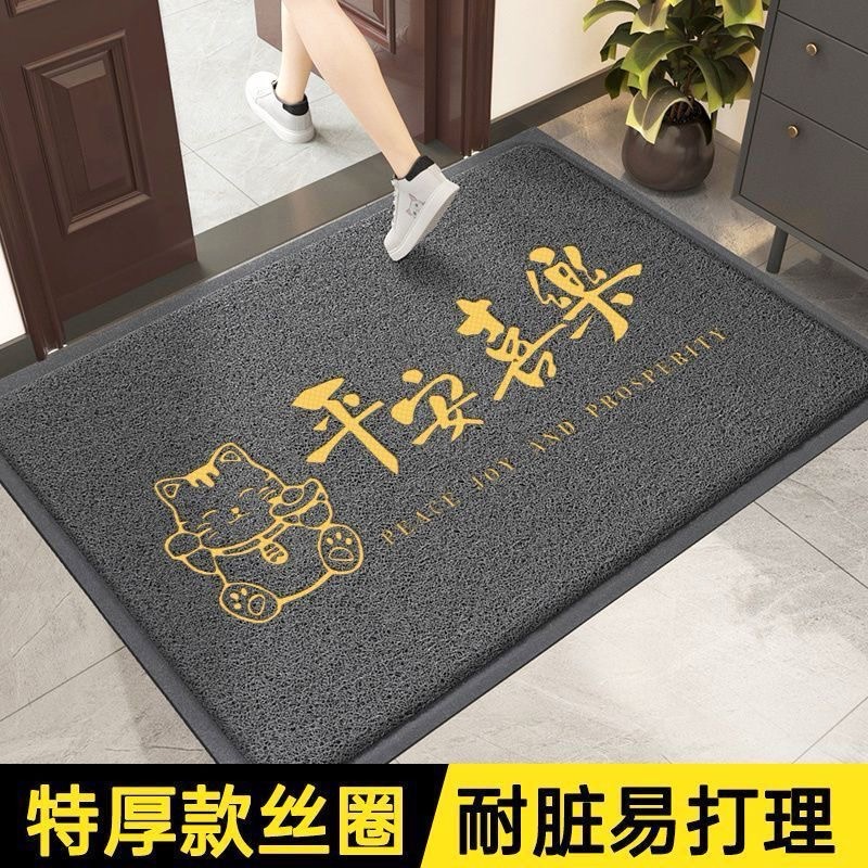 高级感入户门地垫丝圈进门脚垫家用门垫门外脚踏垫耐脏进门地毯