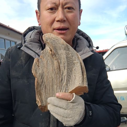 0000060漂亮的坨坨