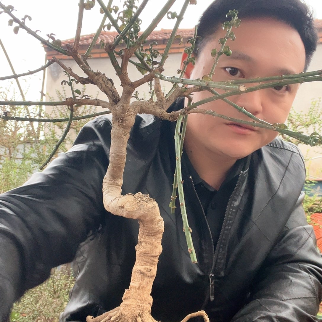 用***4无花朵谢谢你的关心和支持