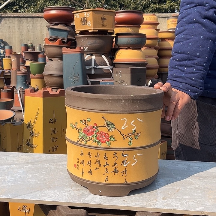 紫砂紫砂花盆盆栽