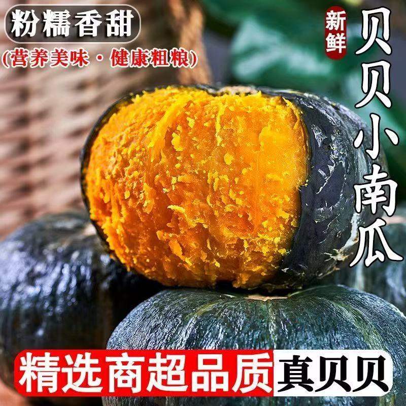 正宗贝贝南瓜新鲜板栗味栗面老瓜新鲜采摘婴儿辅食粉糯JJ