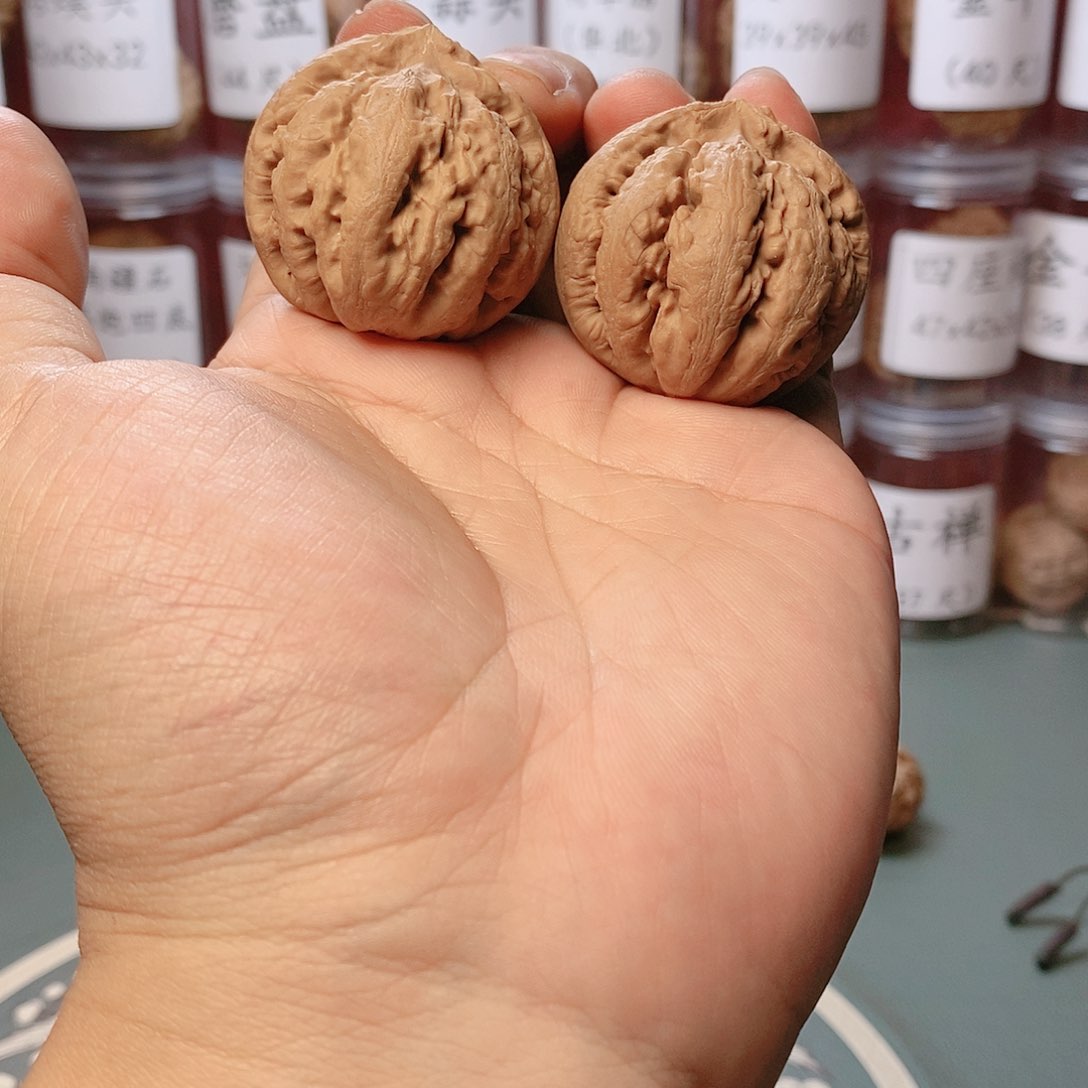 41尺寸全品霸王龙核桃