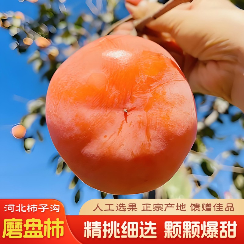 爆款地道产地鲜嫩多汁可批量采购10斤装绵软爆汁磨盘柿子大柿子