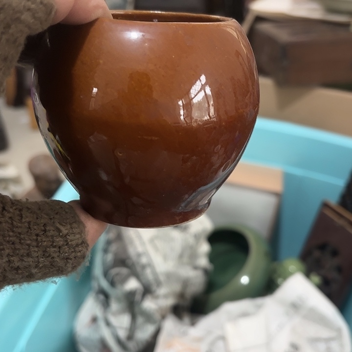 风***上杂色豆（科檀/科特迪瓦檀木）