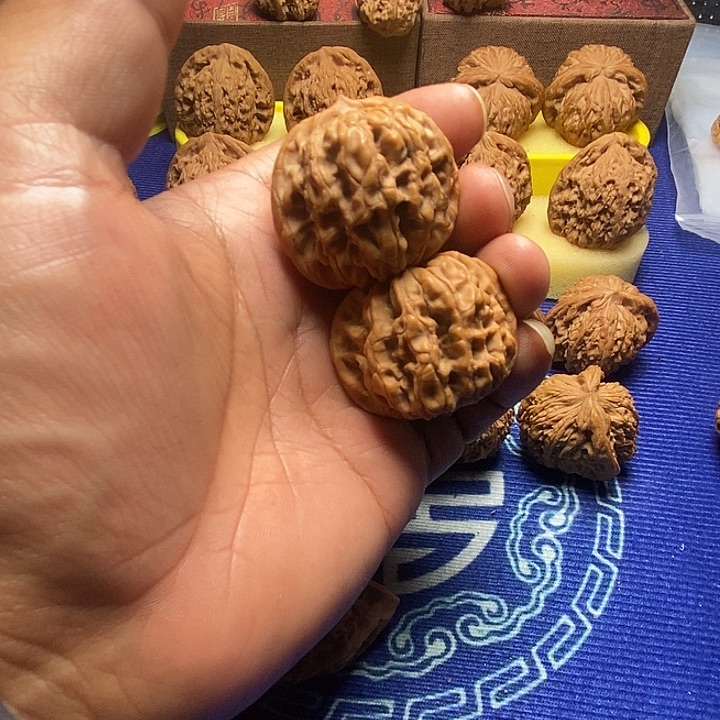 无名小众开播福利