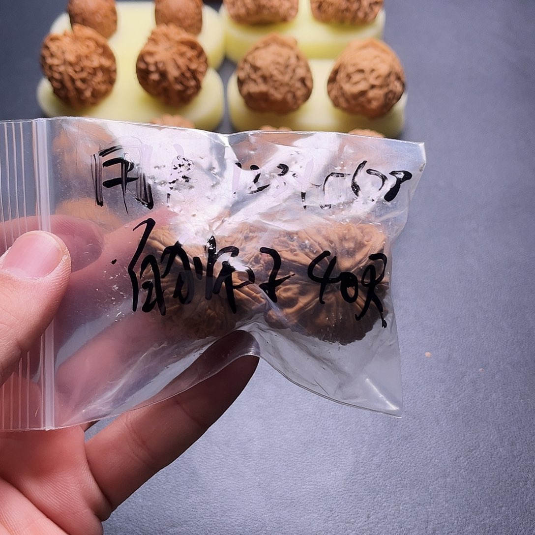 ****8文玩核桃吊坠白狮子40