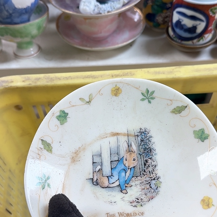 碗开播啦….开播啦