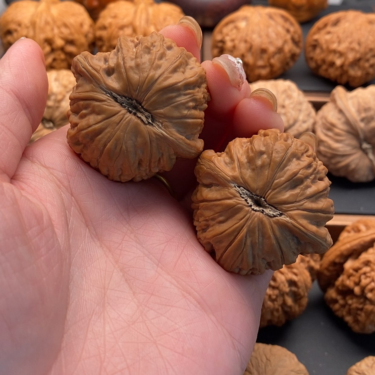 【闪购商品】文玩核桃把件7*+铁锤39