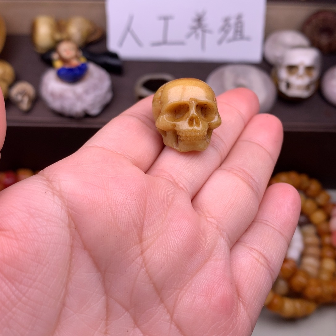 驼骨其他好看驼骨老灵骨