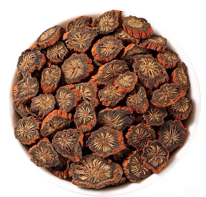 甘肃秦岭大山里野生发汗紫皮丹参