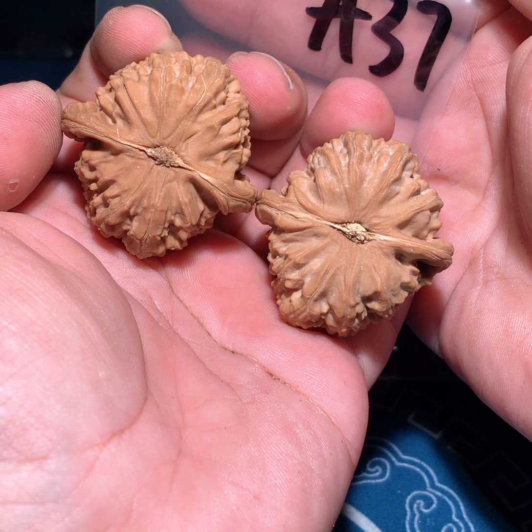 文玩核桃吊坠海***空白狮 a37