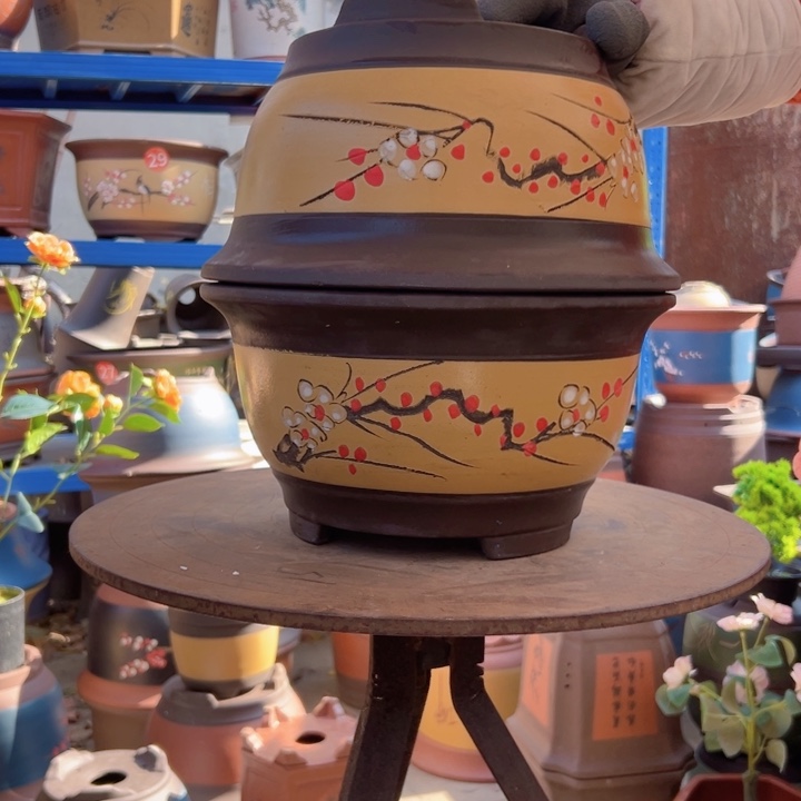 黄富贵点菜大一对花盆，现在