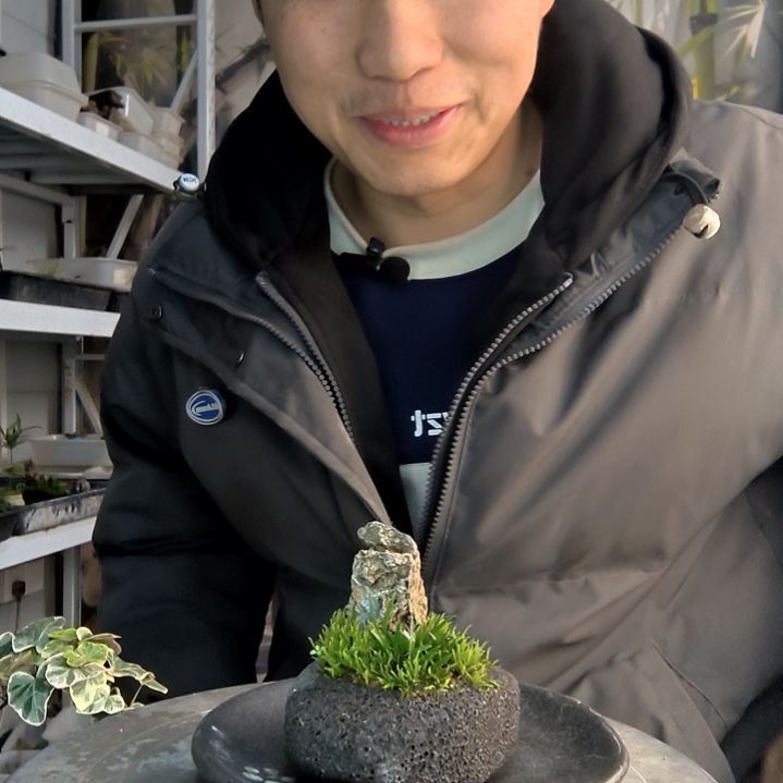 福**生小盆景小植物一物一拍113