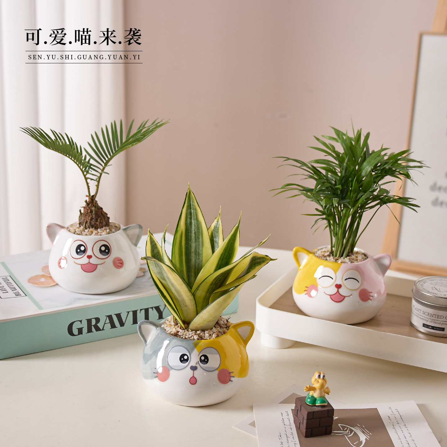 办公室桌面绿植小盆栽室内植物ins奶油风四季懒人虎皮兰文竹春羽