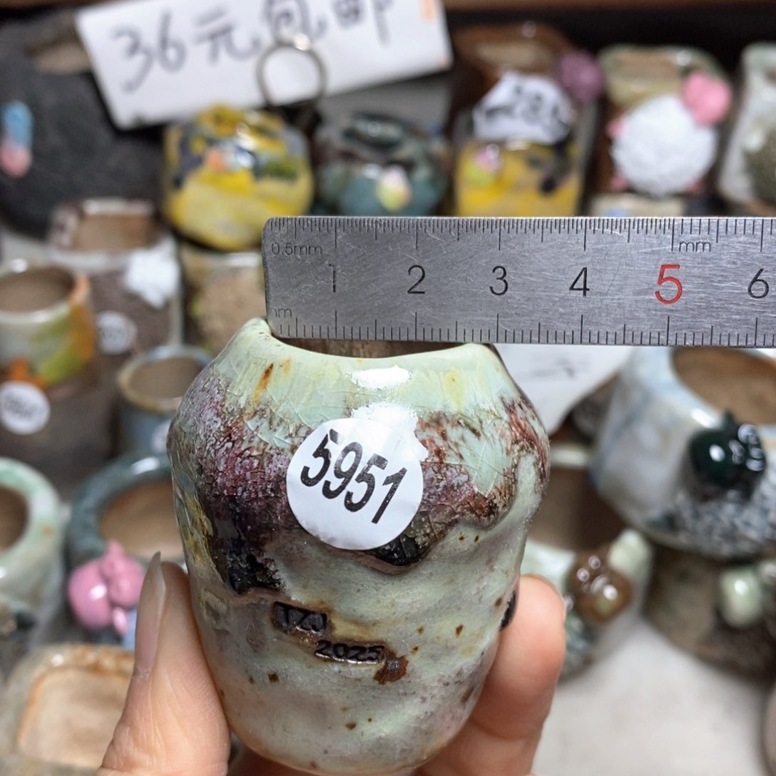 处理的，不退不换的