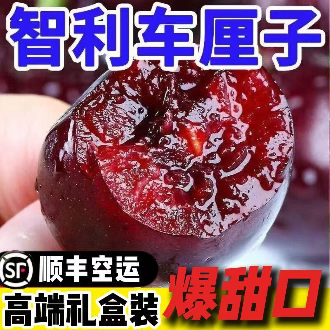 今天拍明天到【5斤原箱】海运智利进口桑提娜车厘子2-3JD升级黑车内附果径卡顺丰桑提娜樱桃智利共和国