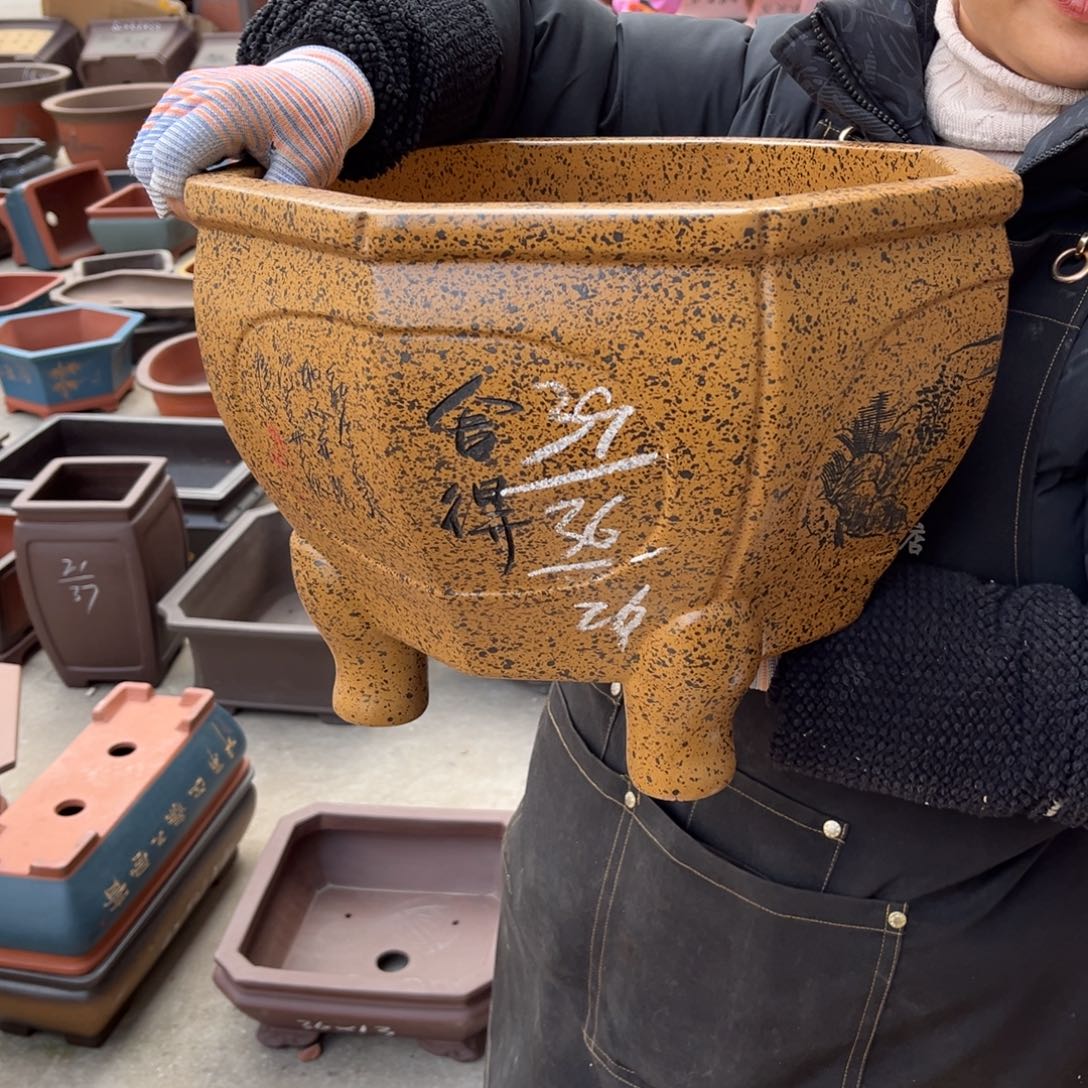 紫砂花盆盆景艺术