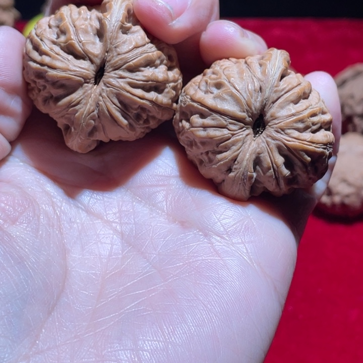 S***t核桃元宝全品精对