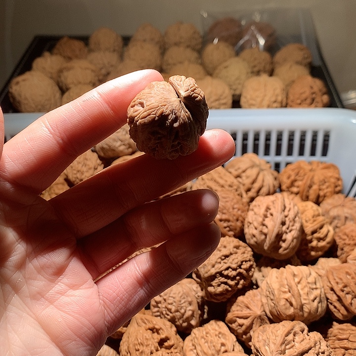 蛤***人吊坠文玩核桃元宝