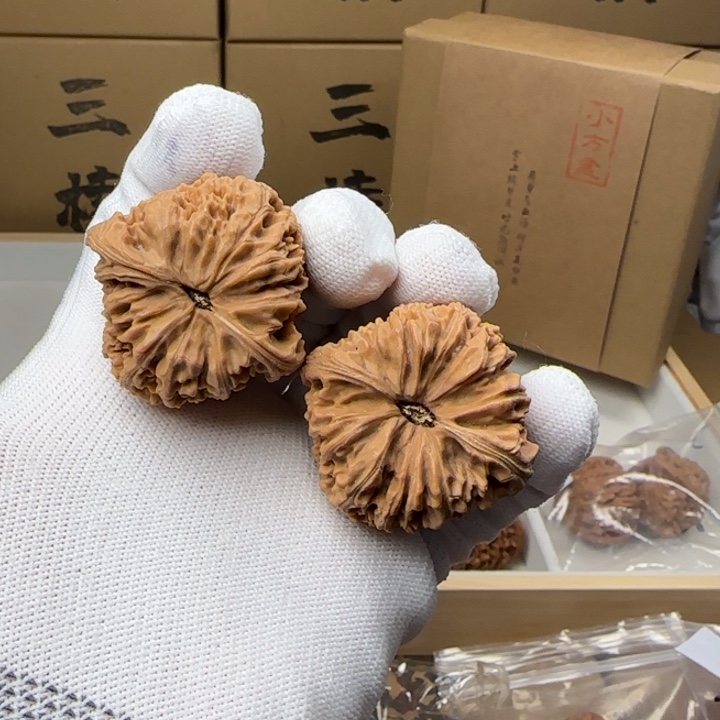 文玩核桃吊坠小**C42尺寸南将石