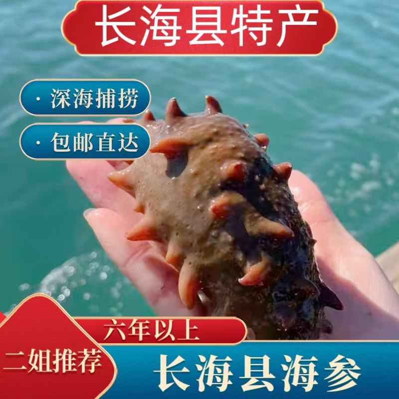 《长海县二姐》大连长海县即食海参10头/9头/8头（送1个试吃）