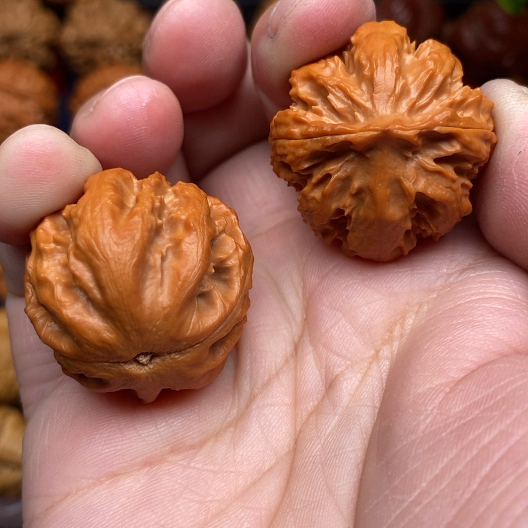 文玩核桃把件豆*脑手捻