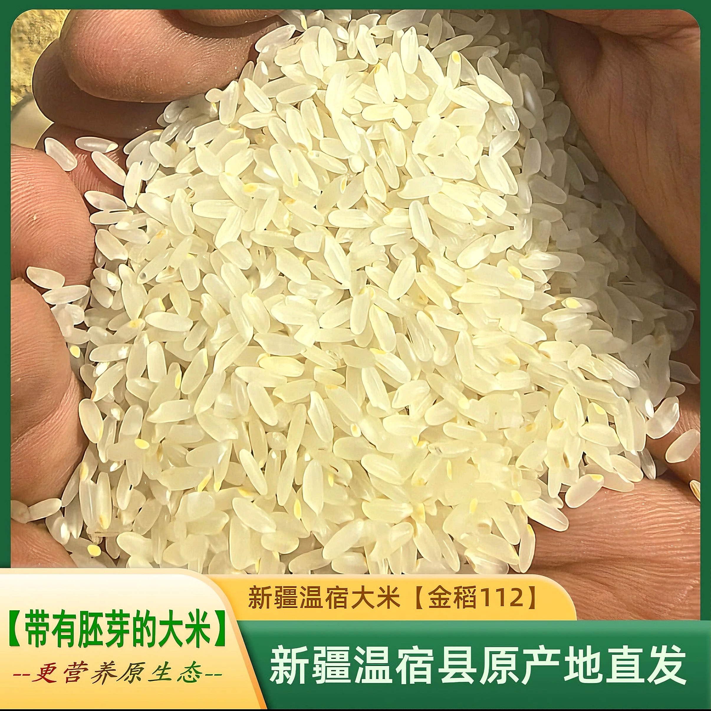 【留胚大米】2024年新疆温宿大米新米【保留70%以上胚芽】粳米不抛光