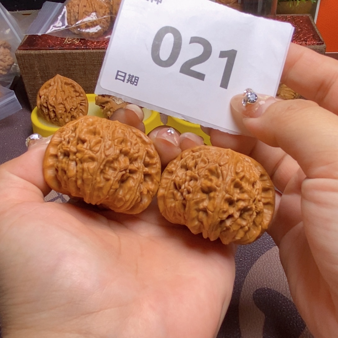 把件文玩核桃021白狮子46
