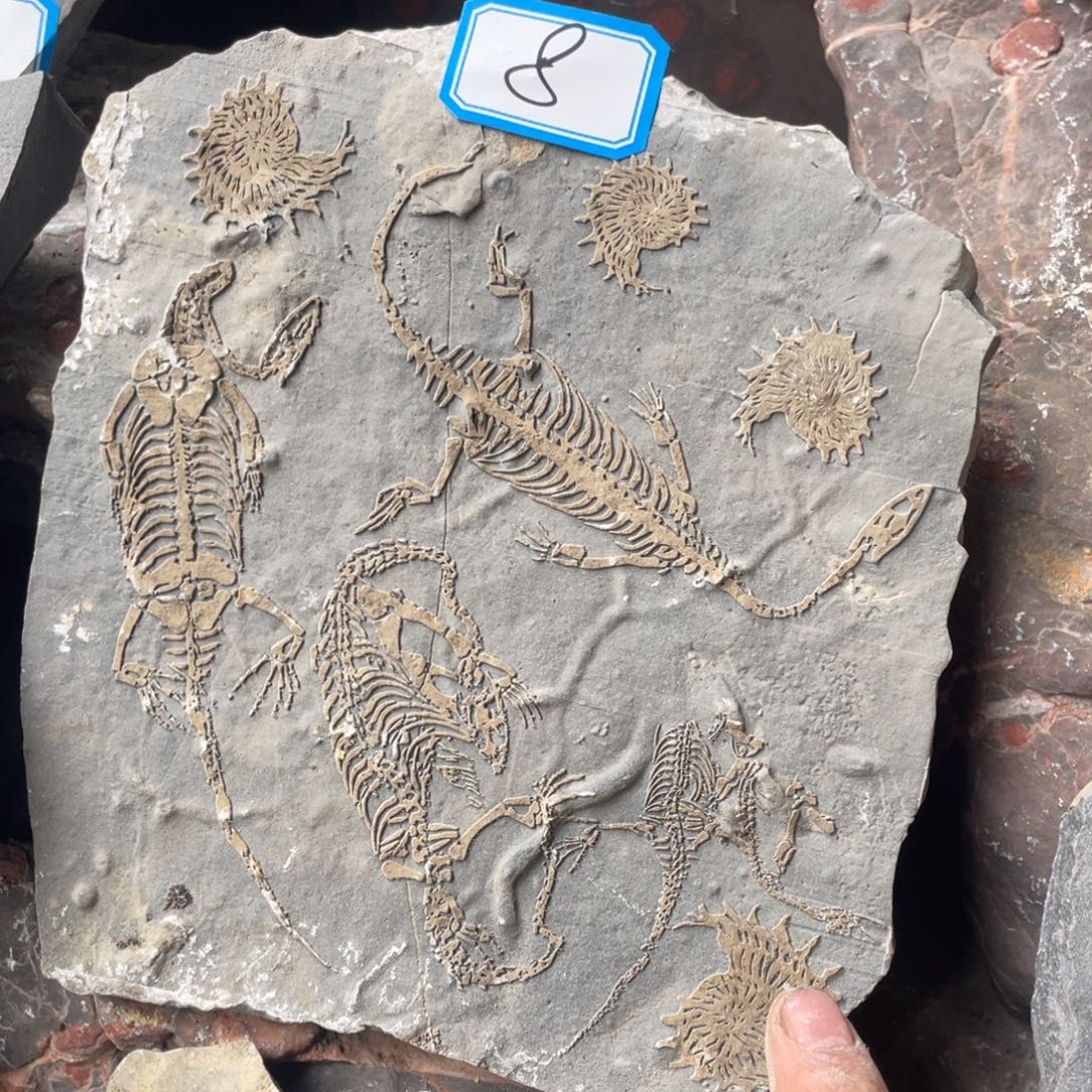 石材8888888888888888888