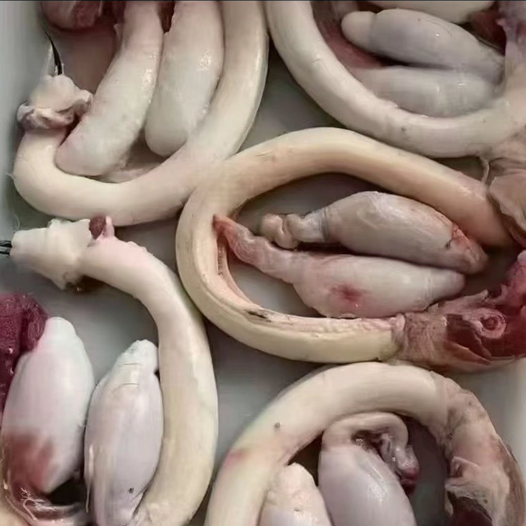 鲜鹿宝加酒发货顺丰