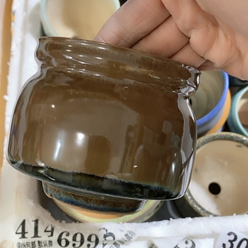 【闪购商品】红陶口9