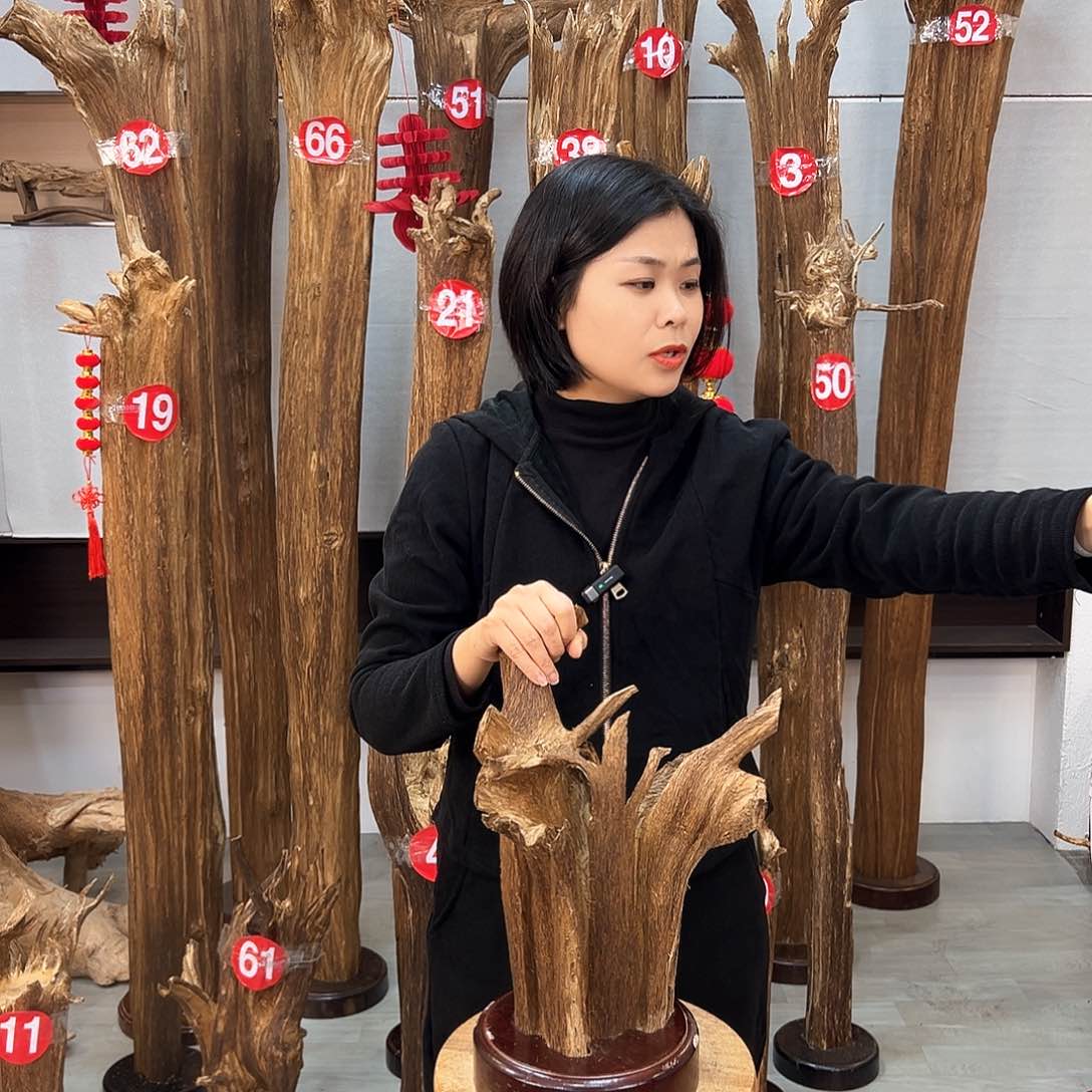 沉香摆件小*?海南沉香摆件