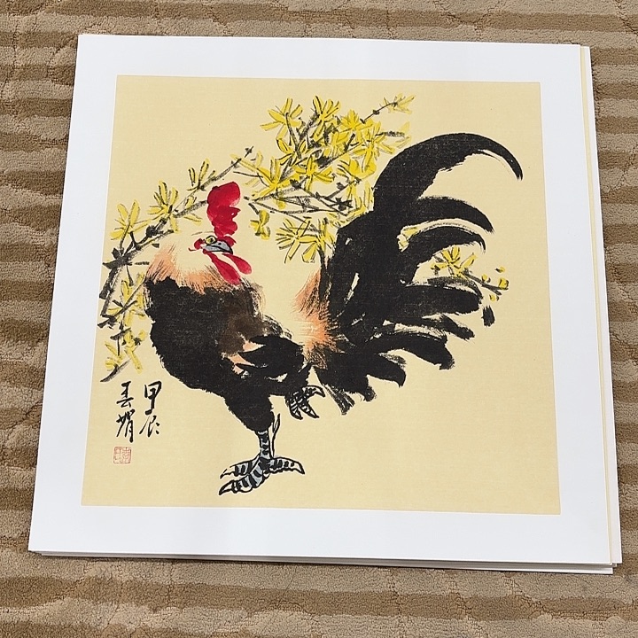 国画花鸟的翅膀和羽毛50.50